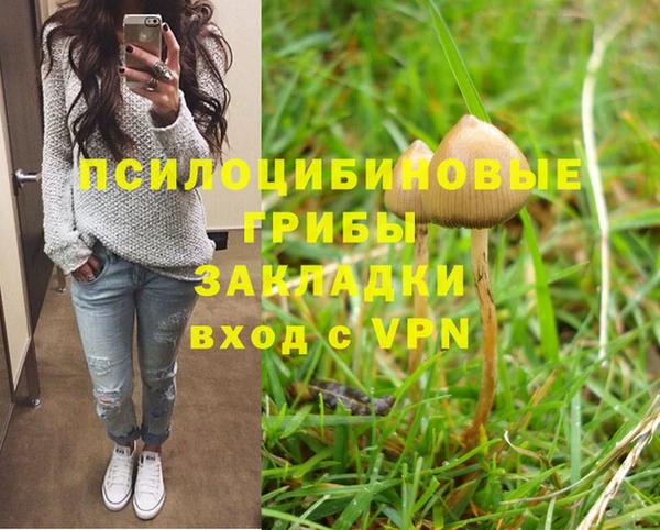 бошки Михайлов