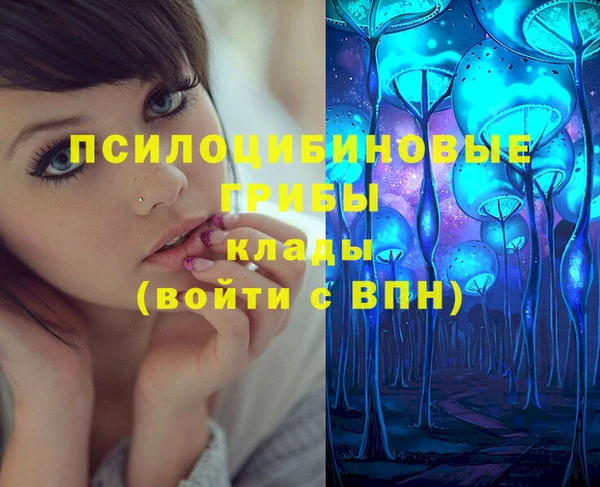 кокс Ряжск
