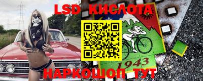 шишки Кимры