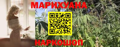 шишки Кимры