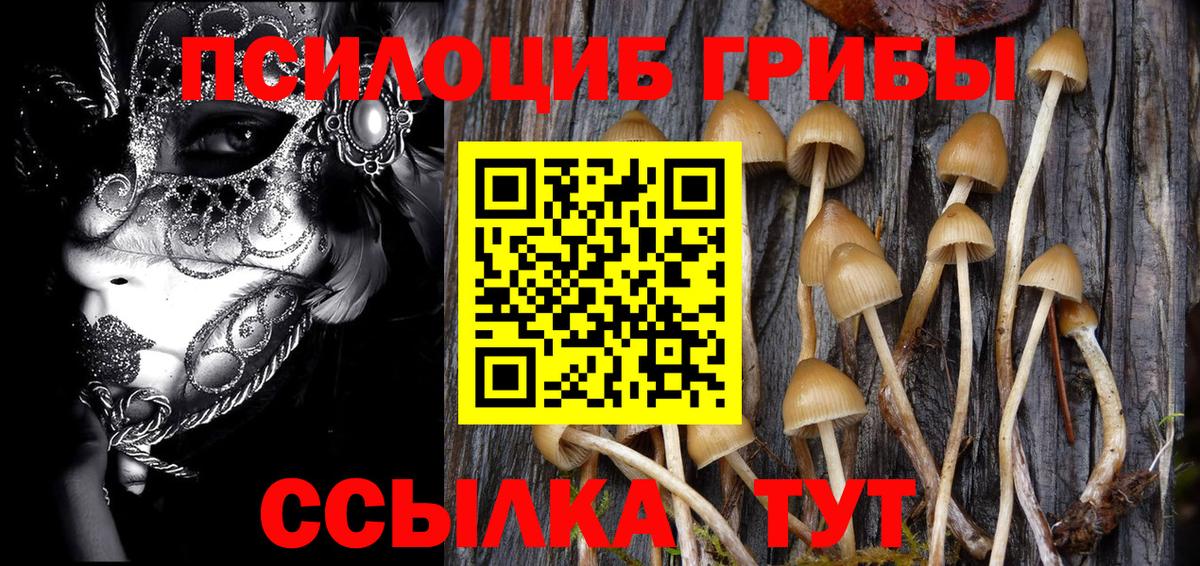 Полевской  Галлюциногенные грибы Magic Shrooms  где купить наркотик  Вход с VPN 