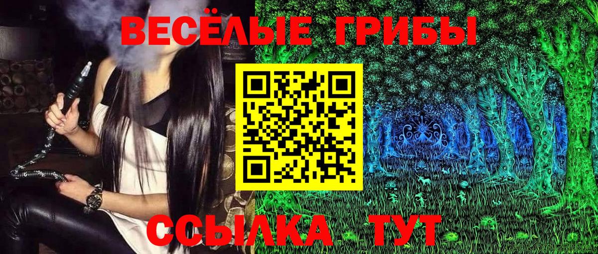 МЕФ Полевской